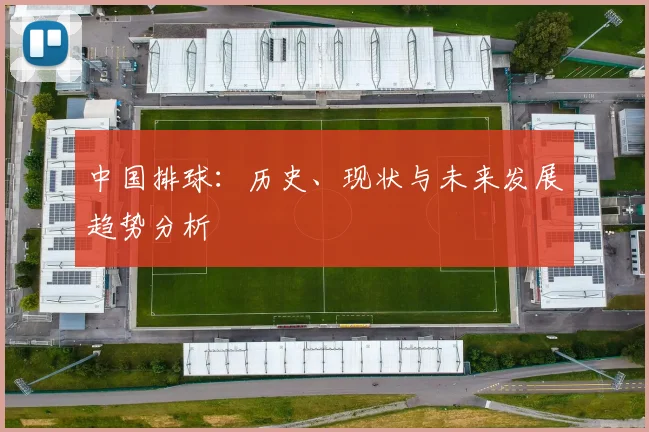 中国排球:历史、现状与未来发展趋势分析