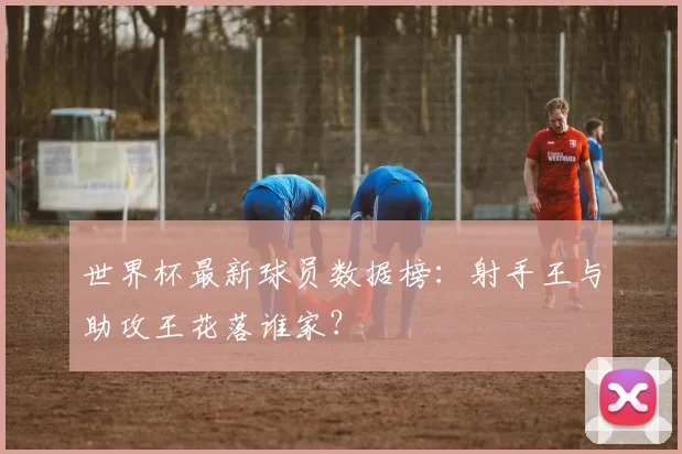 世界杯最新球员数据榜：射手王与助攻王花落谁家？